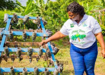 Mary Kwakuyi Takes Prides in Sharing her knowledge with Young Farmers in her Community
