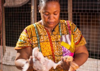 Meet Mercy Nanjo, A Female Poultry Farmer From Western Region