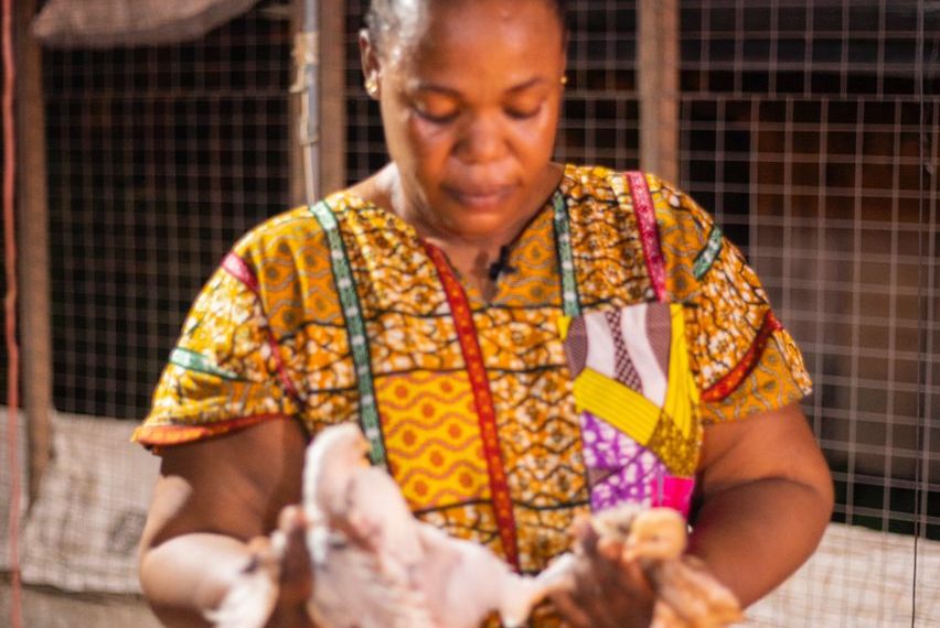 Meet Mercy Nanjo, A Female Poultry Farmer From Western Region Meet Mercy Nanjo, A Female Poultry Farmer From Western Region