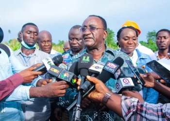 Planting for Food and Jobs has been a success – Agric Minister