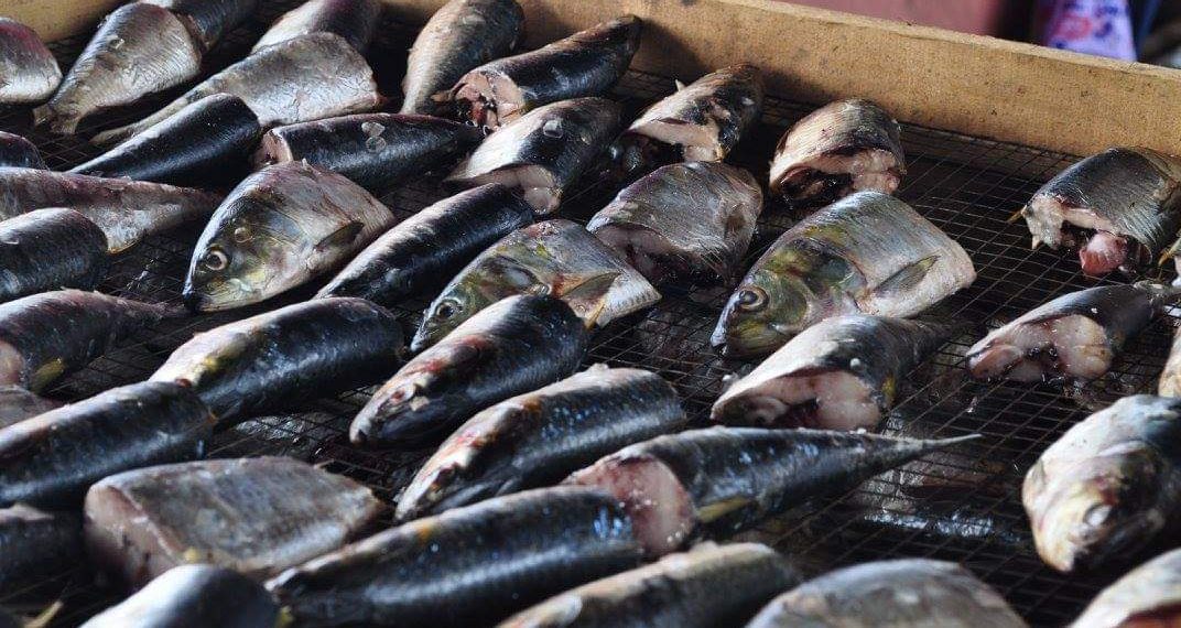 MoFA trains fish processors in Western Region