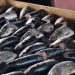 MoFA trains fish processors in Western Region