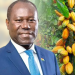COCOBOD’s GH¢12bn Debt Burden Worrying – Auditor-General COCOBOD’s GH¢12bn Debt Burden Worrying – Auditor-General
