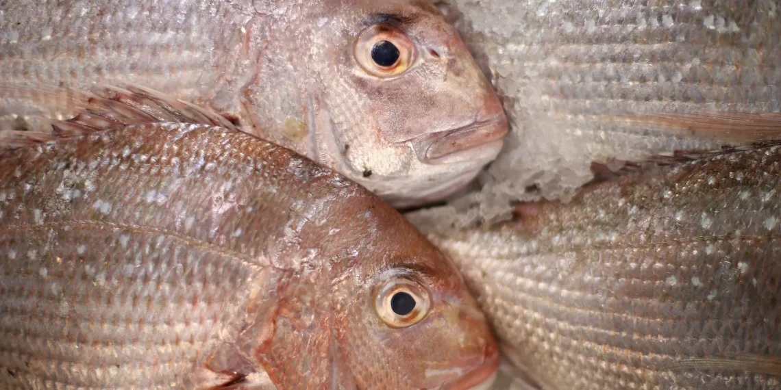 Fish Poisoning: Strangers banned from selling in Mfantseman Municipality Fish Poisoning: Strangers banned from selling in Mfantseman Municipality