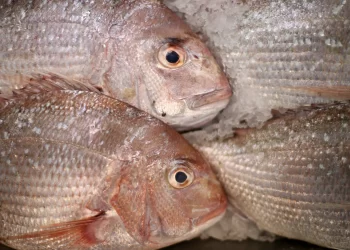 Fish Poisoning: Strangers banned from selling in Mfantseman Municipality
