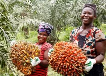 First Palm Oil Barometer Challenges Negative Public Perception on Palm Oil Sustainability