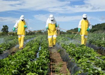 Substandard Pesticides Penetrating Market Due to Rising Cost