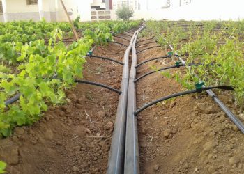 YARA Ghana Educates Farmers on Irrigation Technology at 12th Pre-harvest
