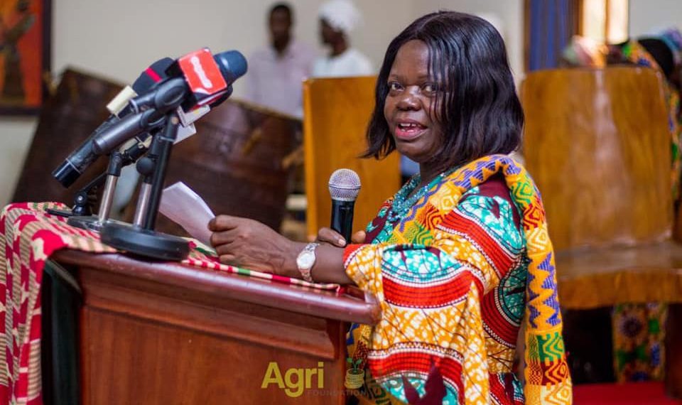 Agriculture Provides Wealth and Food Security – Madam Dorothy Effah