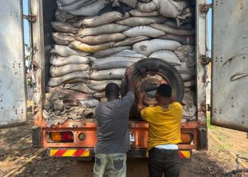 COCOBOD Intercepts Over 1,500 Bags of Cocoa Being Smuggled