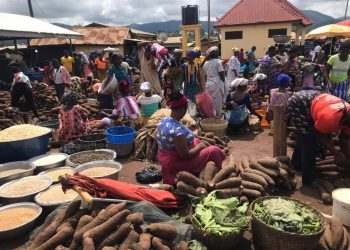 Oti Region:Market Women Champion Agriculture as Key to Economic Progress