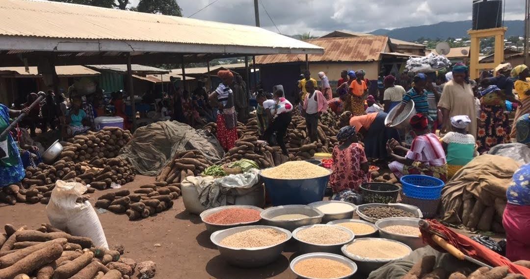Farmers in Biakoya Seek Government Assistance in Establishing Factory and Support Local farmers  Farmers in Biakoya Seek Government Assistance in Establishing Factory and Support Local farmers