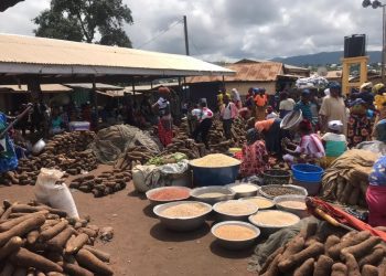  Farmers in Biakoya Seek Government Assistance in Establishing Factory and Support Local farmers