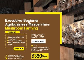 Register Now for Executive Agribusiness Masterclass on Mushroom and Snail Farming
