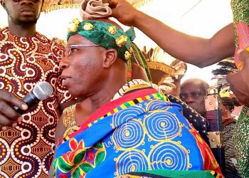 Chief of Bontibor Calls for Government Assistance to Address Farming  Challenges