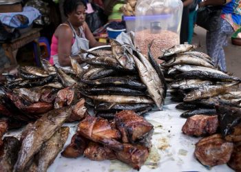 Fish Sellers in Kabiti Struggle with Market Disruption Due to Poor Road Network