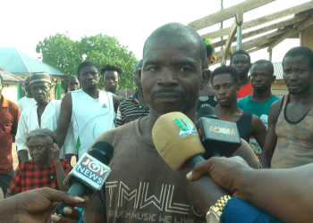 Cashew Farmers Call for Enforcement of Minimum Price and Border Security to Protect Investments