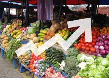 New Taxes May Lead to Rise in Food Inflation,Chamber of Agribusiness Director Warns