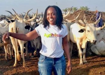 Is Ghana’s Livestock Sector, Receiving Equal Attention as the Crops Sector?