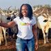 Is Ghana’s Livestock Sector, Receiving Equal Attention as the Crops Sector?