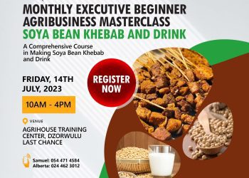 Learn Wagashi, Soya Bean Kebab & Drink Making with a Free Seed Management Training at Third Executive Beginner Masterclass