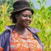 Antwiwaa Christiana: A Tailor Turned Successful Farmer in Otoase Antwiwaa Christiana: A Tailor Turned Successful Farmer in Otoase