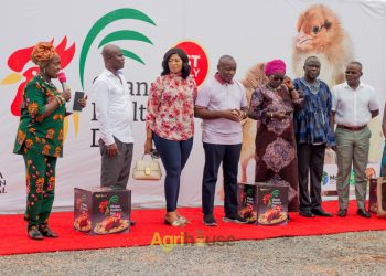 Ghana Poultry Day / 3rd Ghana Chicken Festival Successfully Held, Advocacy for Poultry Sector Gains Momentum