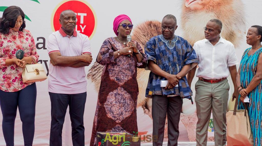 Government Officials, MPs, and CEOs Unite to Advocate for Official Recognition of July 1st as Ghana Poultry Day Government Officials, MPs, and CEOs Unite to Advocate for Official Recognition of July 1st as Ghana Poultry Day