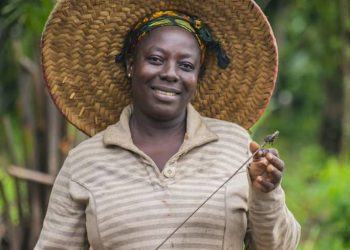 Empowering Women, Cultivating Change: The Doris Aboagye Story