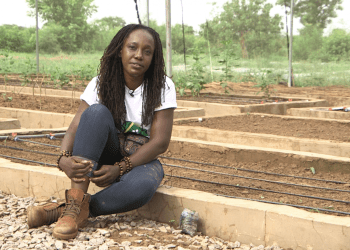 Surviving the Impact of Climate Change Through Backyard Gardening