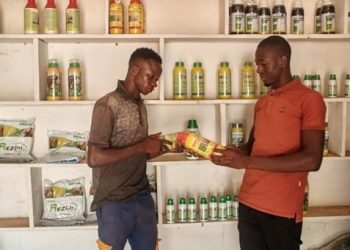 Tumu Cooperative Credit Union Supports Input Dealers to Boost Food Production