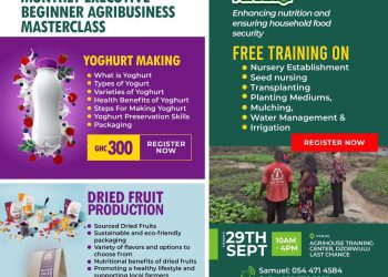 Fifth Monthly Executive Beginner Agribusiness Masterclass to Focus on Yogurt Making and Dried Fruit Production