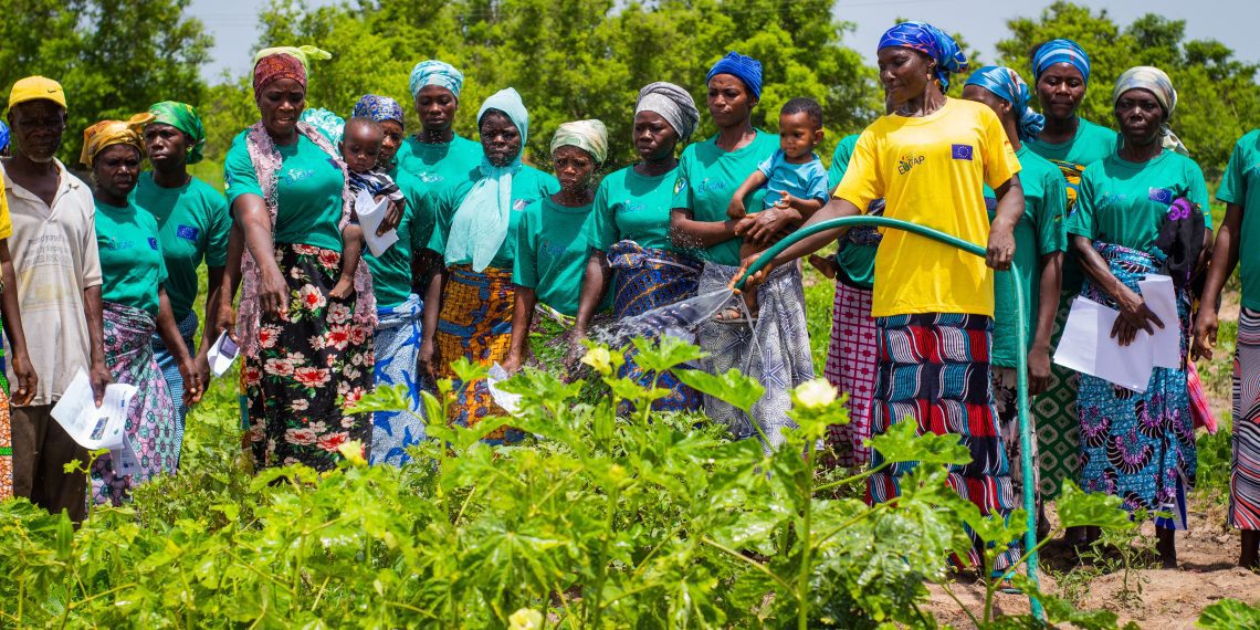 EU-Ghana Agriculture Programme (EUGAP) Renews Partnership with Agrihouse Foundation for 13th Annual Pre-Harvest Agribusiness Conference and Exhibition EU-Ghana Agriculture Programme (EUGAP) Renews Partnership with Agrihouse Foundation for 13th Annual Pre-Harvest Agribusiness Conference and Exhibition
