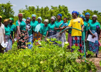 EU-Ghana Agriculture Programme (EUGAP) Renews Partnership with Agrihouse Foundation for 13th Annual Pre-Harvest Agribusiness Conference and Exhibition