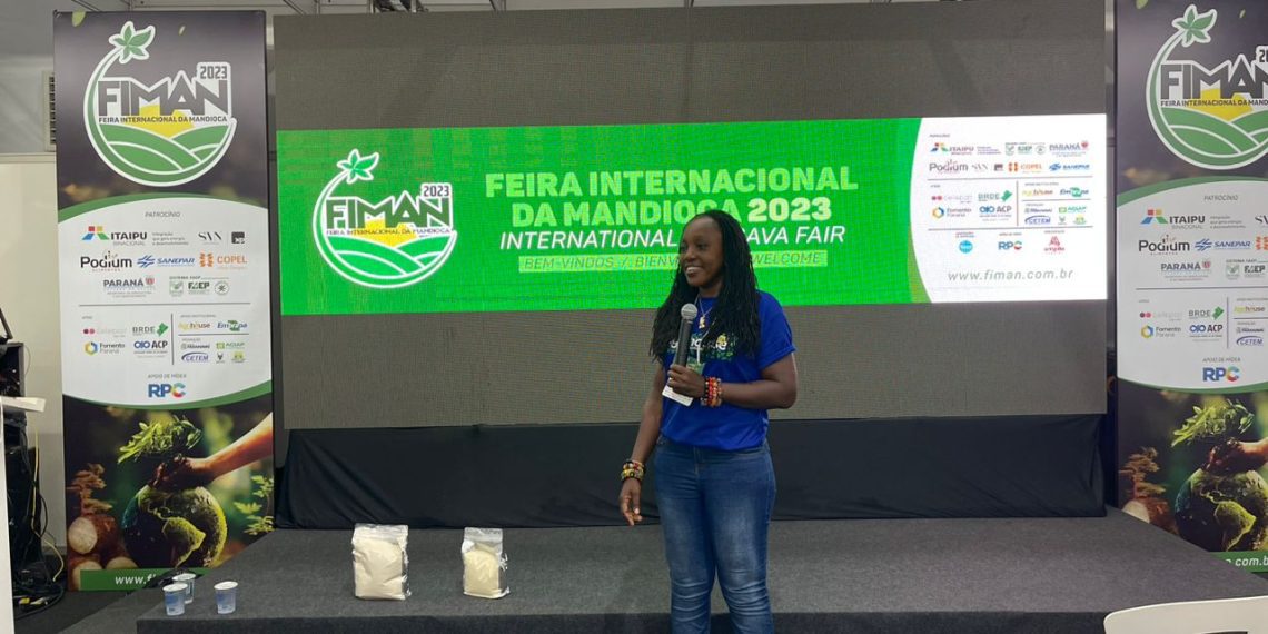 CASSAVA – GHANA’S NEXT GOLD MINE CASSAVA – GHANA’S NEXT GOLD MINE