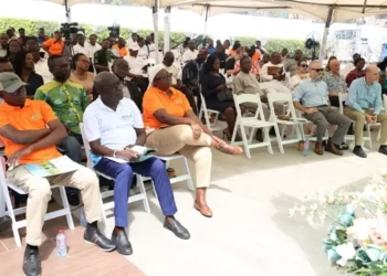 IFDC Reinforces Commitment to Agricultural Transformation