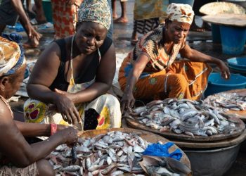Financial Stability Hinders Women’s Competitiveness in Fishing Sector