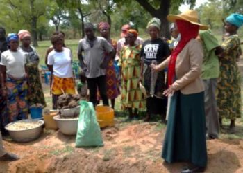 CSIR-SARI’s Grow Further Bambara Groundnut Project Empowers Farmers with Biochar and Compost Training for Enhanced Yield
