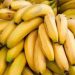 FAO Hosts Global Summit to Address Banana Production Challenges FAO Hosts Global Summit to Address Banana Production Challenges