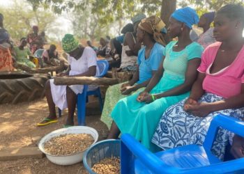 CSIR-SARI Empowers 60 Women in Groundnut Seed Production