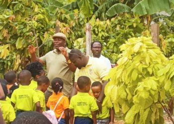 COCOBOD Introduces School Children to Cocoa Production to Secure Industry’s Future