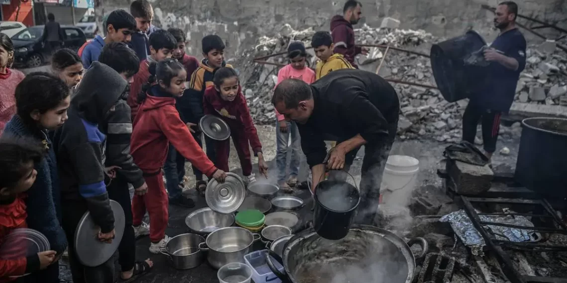 FAO’s Efforts Combat Malnutrition and Starvation in Gaza FAO’s Efforts Combat Malnutrition and Starvation in Gaza