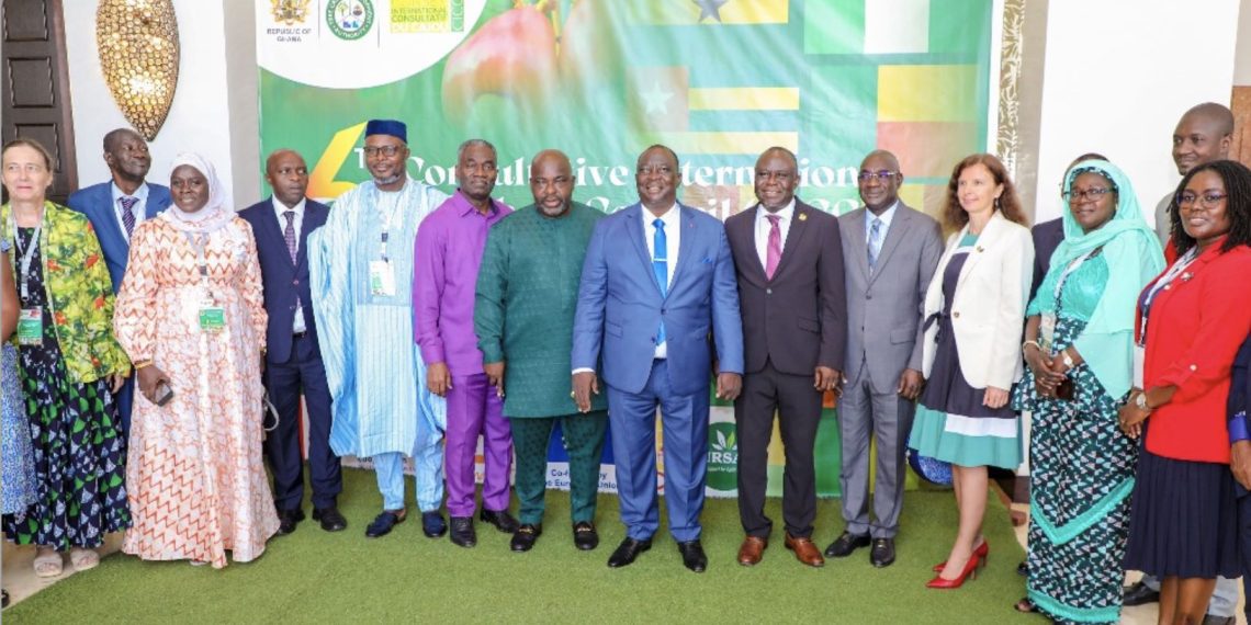 EU Prioritizes Sustainable Growth in African Cashew Sector