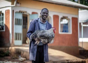 FAO Introduces Action-Oriented Initiative to Combat Antimicrobial Resistance in Agrifood Systems