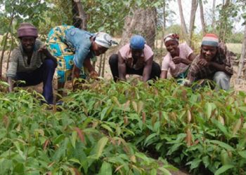 Tano South MoFA Prepares to Enroll 6,000 Farmers for PfFJ Phase 2