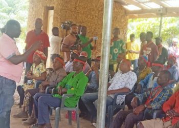 Foreign Mining Company Encroaches on 150 Hectares of Rehabilitated Cocoa Farms