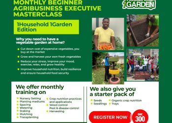 Agrihouse Foundation’s 1Household 1Garden Initiative Bounces Back with Training on Backyard Farming