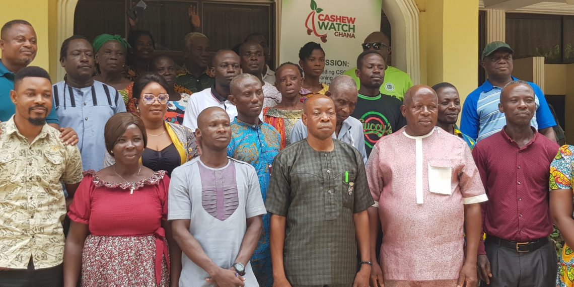 Cashew Farmers Urged to Produce Quality Nuts for Better Prices