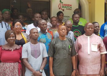 Cashew Farmers Urged to Produce Quality Nuts for Better Prices