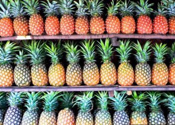 EU Alleges Suspected Fraud in Ghanaian Pineapple Exports